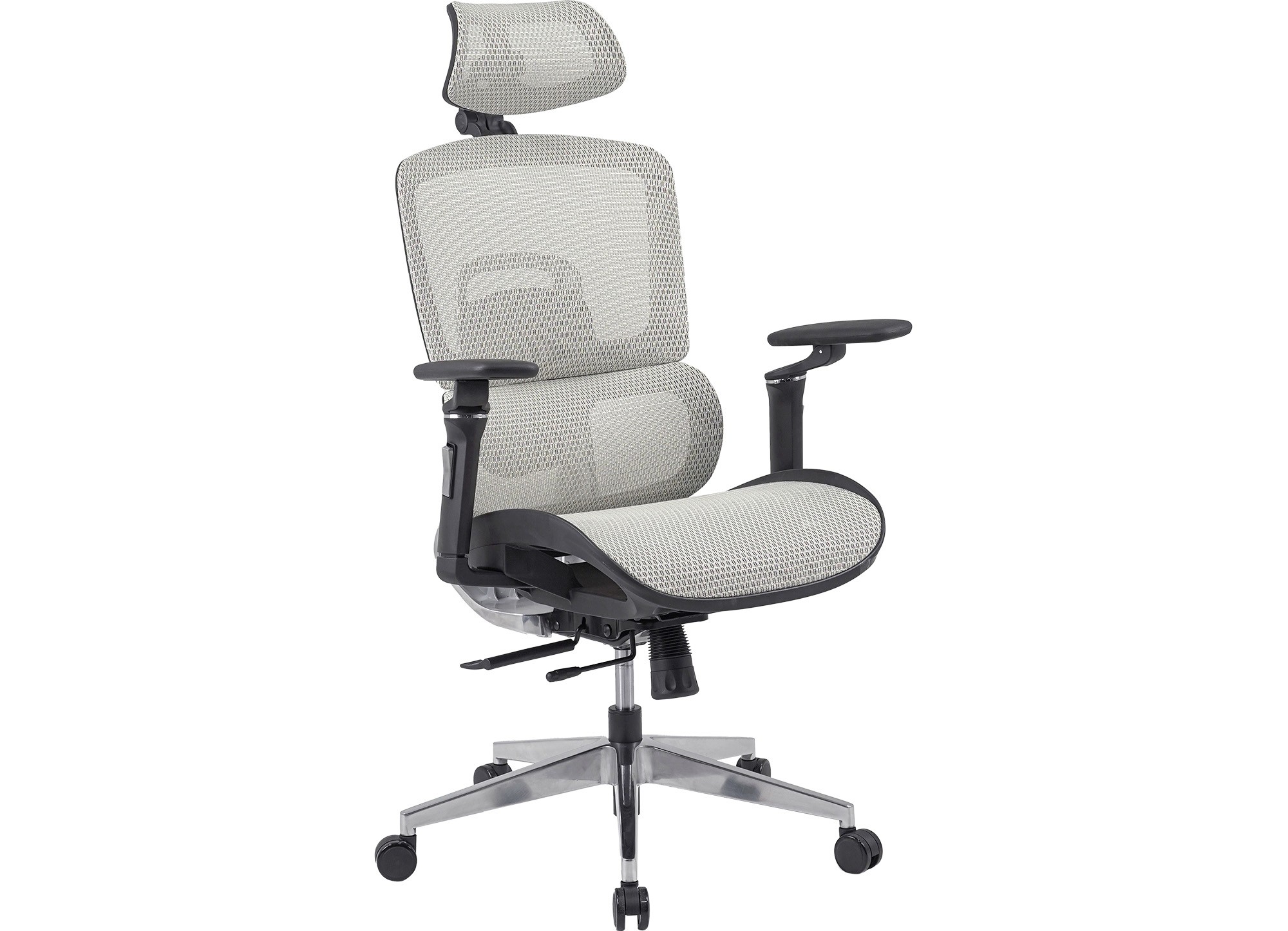 ghế công thái học